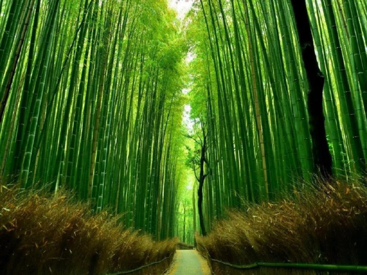 町屋 月 Machiya Tsuki Villa Kyoto Dış mekan fotoğraf